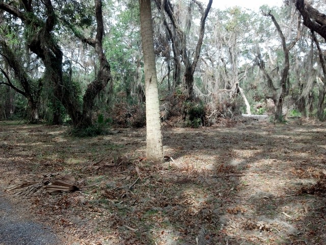 Oatland Hurricane-06.jpg